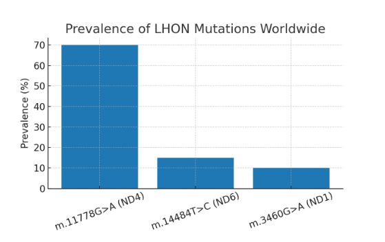 Prevalence of LHON Mutations Worldwide